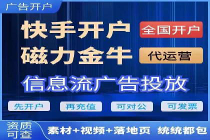 百度推广实战技巧：案例详解